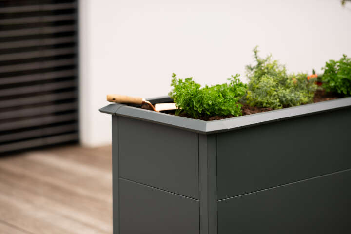 WESTMANN Hochbeet Primus